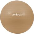 Μπάλα Γυμναστικής AMILA GYMBALL 65cm Χρυσή Bulk 48413