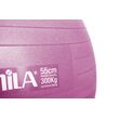 Μπάλα Γυμναστικής AMILA GYMBALL 55cm Ροζ Bulk 48438