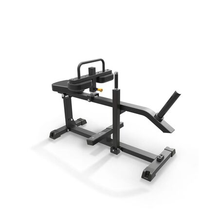 Seated Calf Raise IFP1623