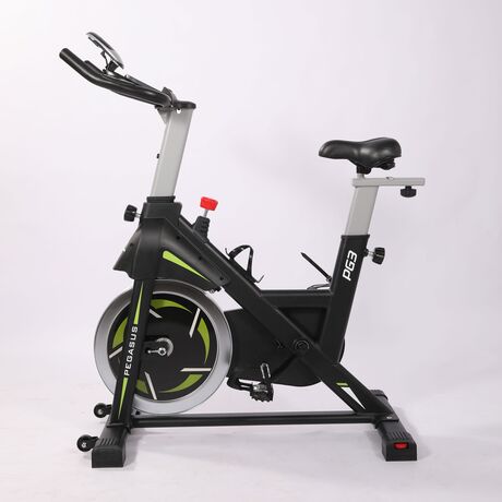 Pegasus® Spin Bike "PG3" 391167870