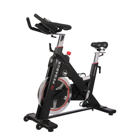 Ποδήλατο Pegasus® Spin Bike PG5 391167873