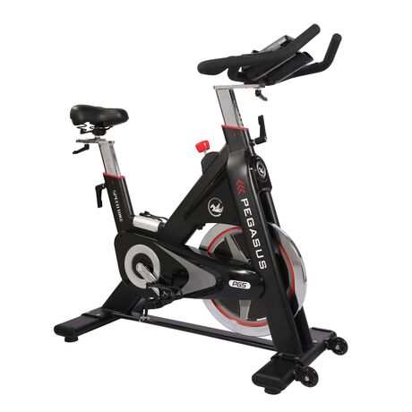 Ποδήλατο Pegasus® Spin Bike PG5 391167873